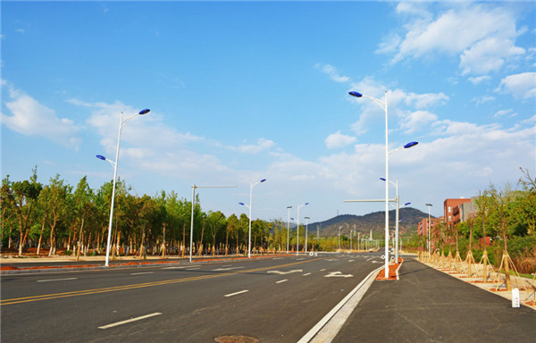 保税区凤岗路（岗边大道-横江大道）道路工